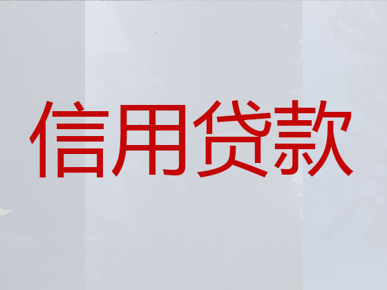 宁海正规贷款公司-银行担保贷款